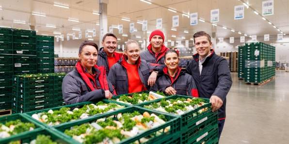 Sechs Logistikmitarbeiter von Kaufland posieren an einer Palette mit Gemüseboxen zum Gruppenfoto.